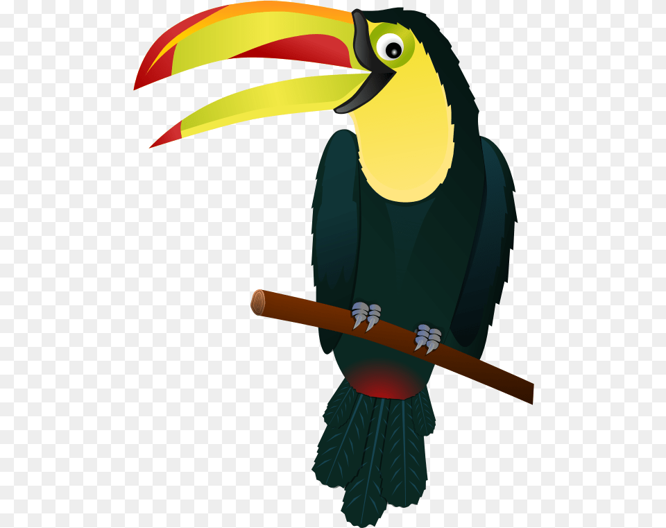 Tropical Plants Plants Clipart Flowers And Toucan Vector, Animal, Beak, Bird Png Image