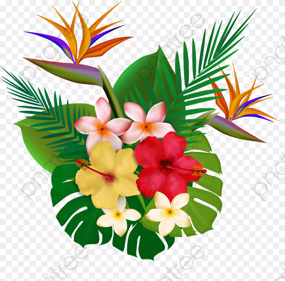 Tropical Plants Plants Clipart Flowers Tropical Hawaii Plants, Art, Floral Design, Flower, Flower Arrangement Free Transparent Png