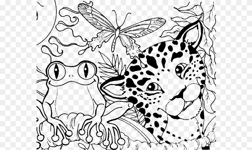 Tropical Rainforest Coloring Pages, Art, Drawing, Blackboard, Pattern Free Png Download