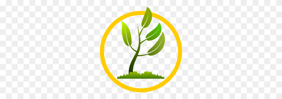 Tropical Rainforest Leaf Jungle Tropical Vegetation Free, Bud, Flower, Herbal, Herbs Png Image