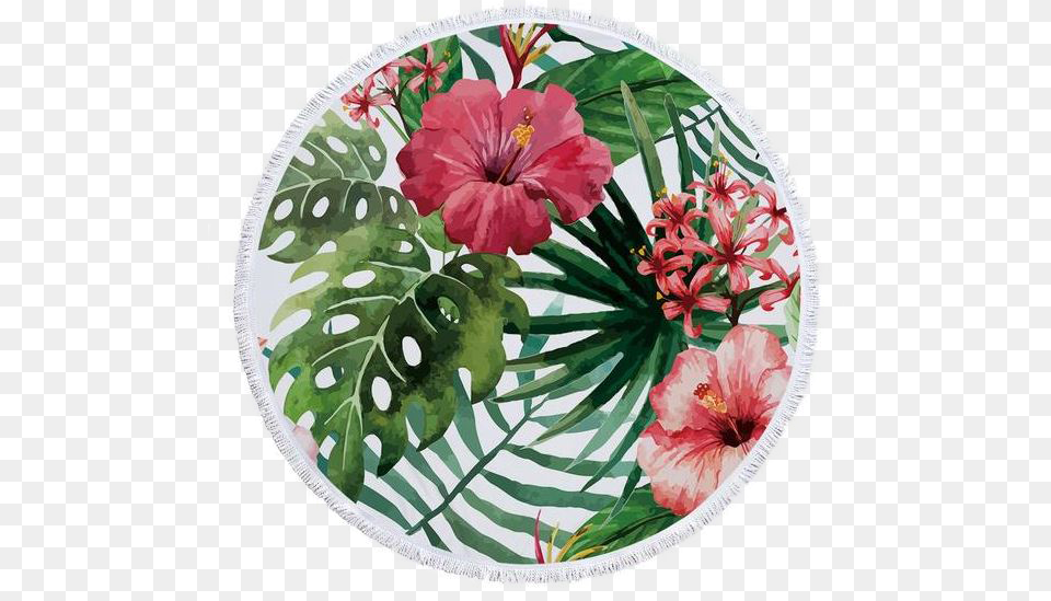 Tropical Roundie, Flower, Petal, Plant, Rose Free Png Download