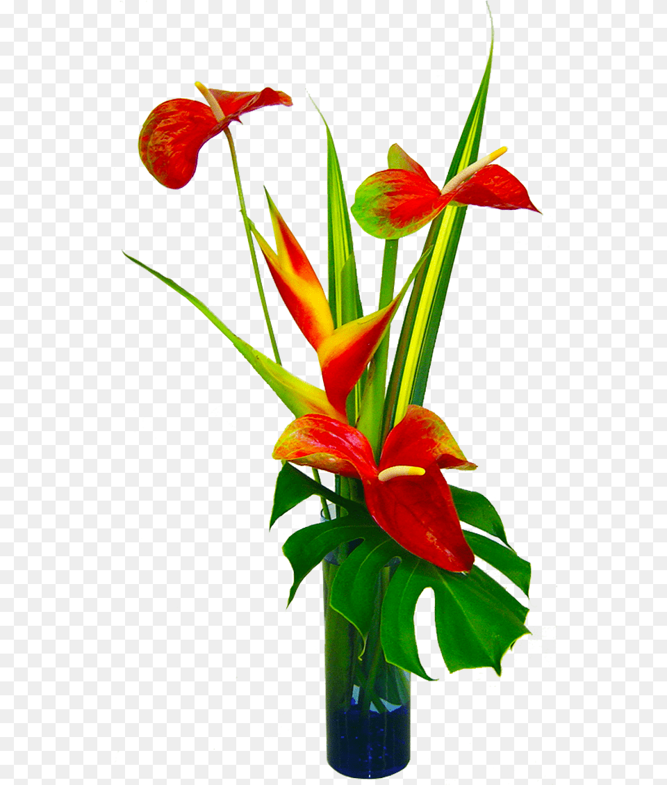 Tropical Silk Flower Arrangements From Hawaiian Flowers In A Vase, Flower Arrangement, Plant, Flower Bouquet, Ikebana Free Transparent Png