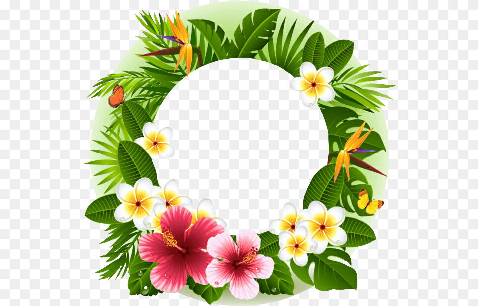 Tropical Summer Frame Pictureframe Circleframe Flamingo Tropical Flower Border, Plant, Flower Arrangement Free Png Download