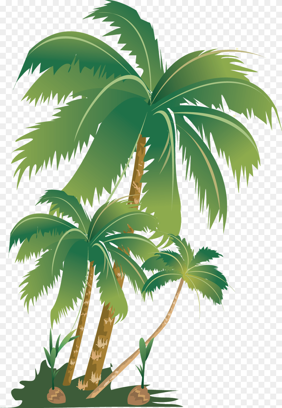 Tropical Summer Palm Tree Palmera Summerfun Sticker Palm Trees, Vegetation, Plant, Palm Tree, Outdoors Png Image