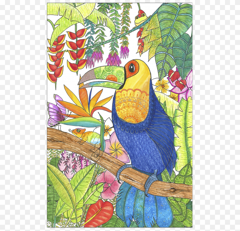 Tropical Toucan Poster Art, Vegetation, Plant, Nature, Outdoors Free Png Download