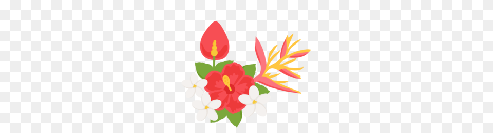 Tropical Clipart Clip Art Flower Plant, Petal, Anther, Flower Arrangement, Face Free Transparent Png