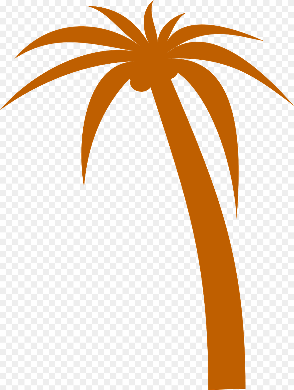 Tropical Tree, Palm Tree, Plant, Flower, Animal Png Image