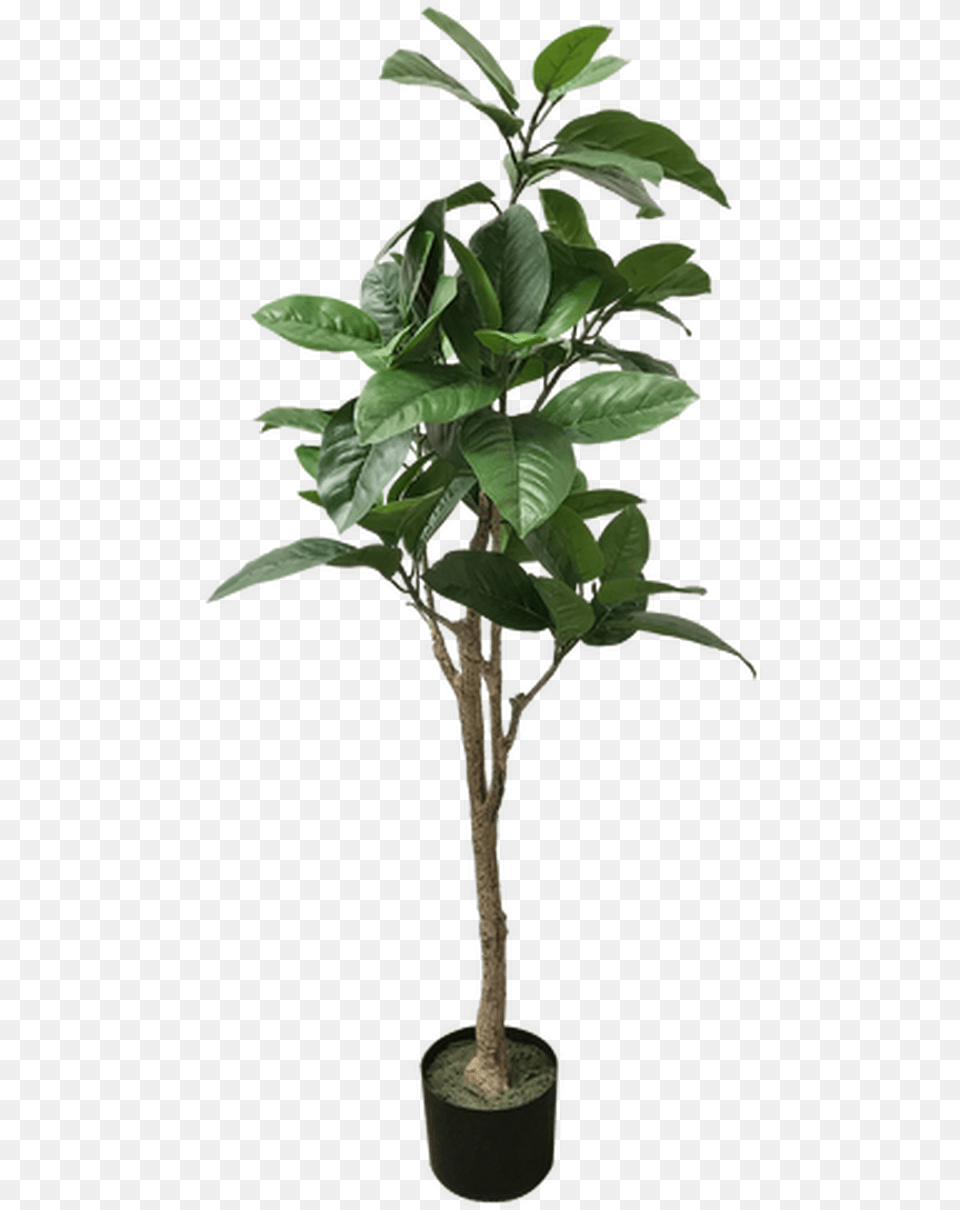 Tropical Tree Alte Piante Finte Da Interno, Leaf, Plant, Potted Plant, Flower Png Image
