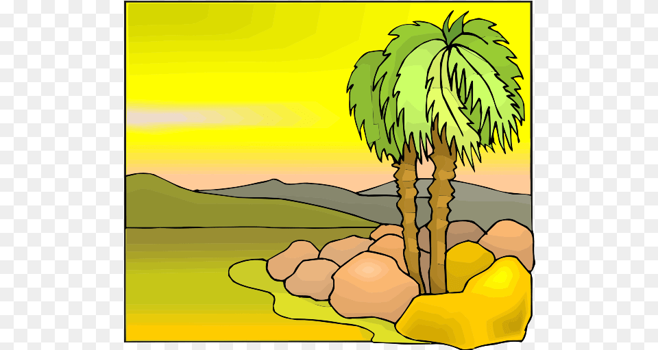 Tropical Tree Color Illustration Sabal Palmetto, Palm Tree, Plant, Vegetation, Summer Png Image