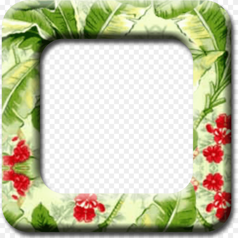 Tropical Tropical Frame Art, Pattern, Leaf, Plant Free Transparent Png