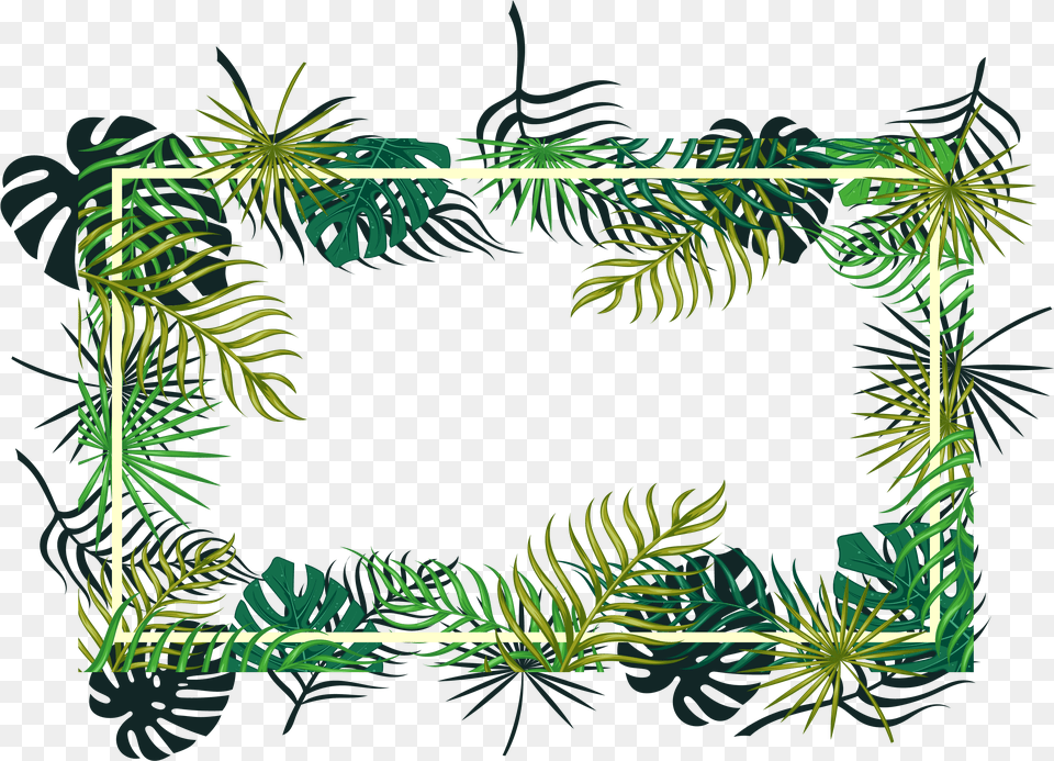 Tropical Vector Ornament Green Box Backgrounds, Plant, Art, Floral Design, Graphics Png Image