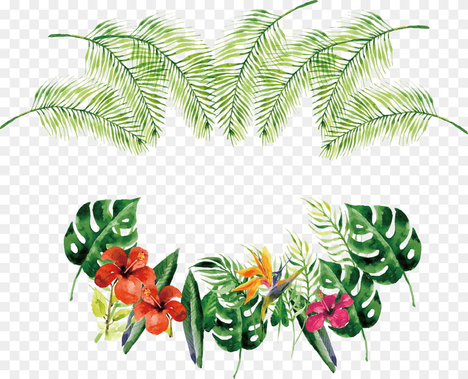 Tropical Vector Transparent Tropical Plants, Art, Floral Design, Graphics, Pattern Png