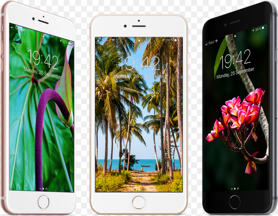 Tropical Wallpapers For Iphone Iphone 8 Tropical, Electronics, Mobile Phone, Phone Png Image