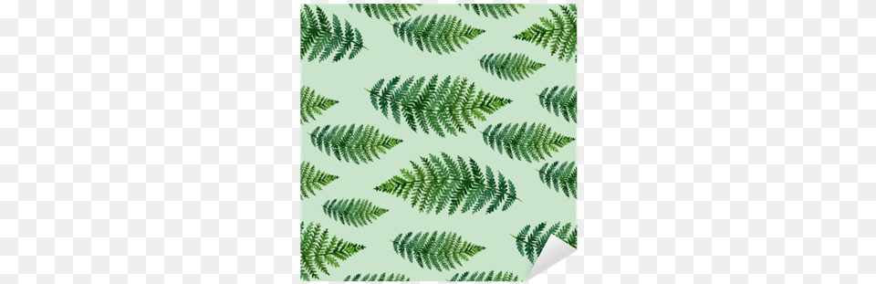 Tropical Watercolor Abstract Pattern With Fern Leaves Elegant Decor Green Leaves Printing Flat Shaped Roman, Plant, Leaf Free Transparent Png