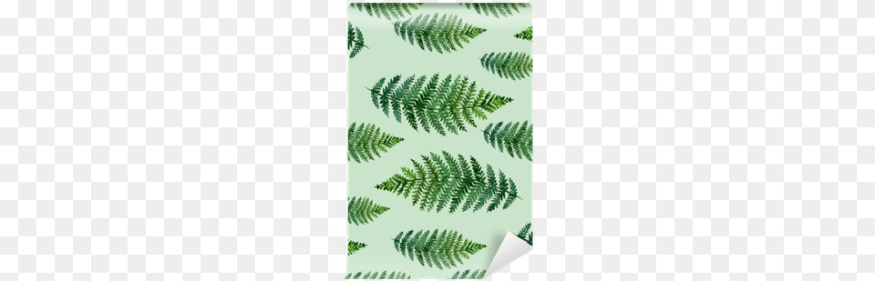 Tropical Watercolor Abstract Pattern With Fern Leaves Elegant Decor Green Leaves Printing Flat Shaped Roman, Plant, Leaf Free Png Download