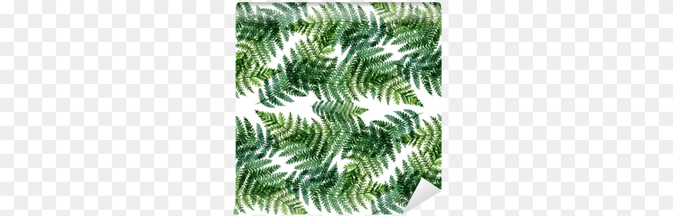 Tropical Watercolor Abstract Pattern With Fern Leaves Watercolor Painting, Plant, Leaf Free Png