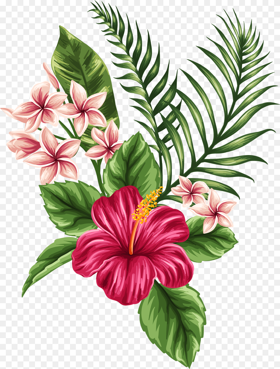 Tropical Watercolor Flowers Leaves Hibiscus Hawaiian Flower Drawing, Plant Png