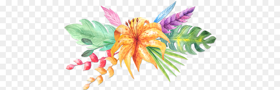 Tropical Watercolor Tropical Flower, Art, Graphics, Leaf, Plant Free Png Download