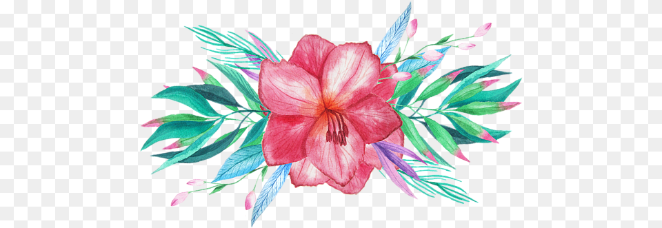Tropical Watercolor Tropical Watercolor Flowers, Art, Flower, Graphics, Plant Png