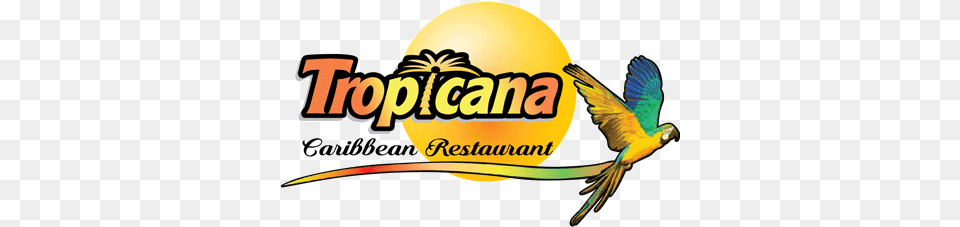 Tropicana Bar Tropicana Restaurant Logo, Animal, Bird, Parrot Free Png Download