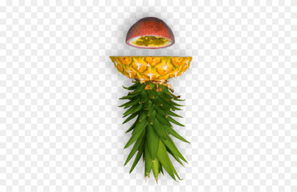 Tropicksch U2013 Tropicks Papaya, Food, Fruit, Plant, Produce Png Image