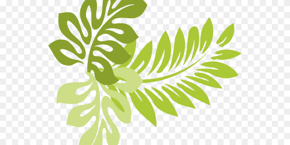 Tropics Clipart Jungle Leaves Hawaiian Plant Clip Art, Herbal, Leaf, Herbs, Green Png Image