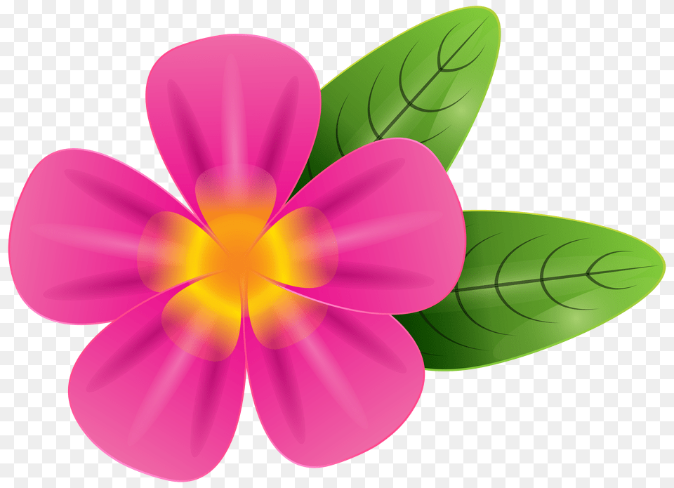 Tropics Clipart Pink Free Png Download