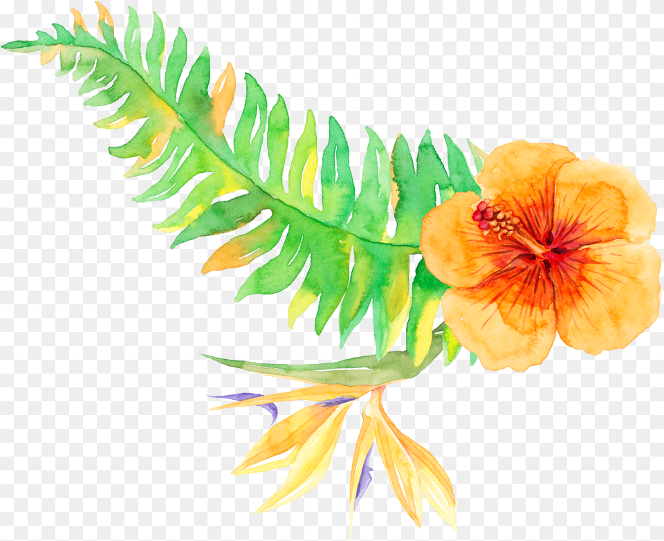 Tropics Plants Vegetation Download Tropical Flower Watercolor, Plant, Leaf, Anther, Hibiscus Free Transparent Png