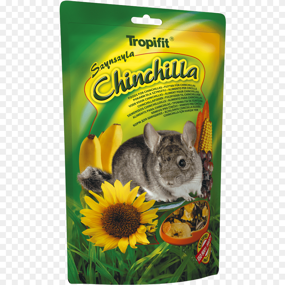 Tropifit Chinchilla Tropifit Cuy, Animal, Mammal, Rodent, Flower Free Transparent Png