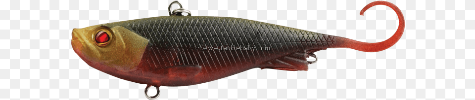 Trout, Animal, Fish, Sea Life Png Image