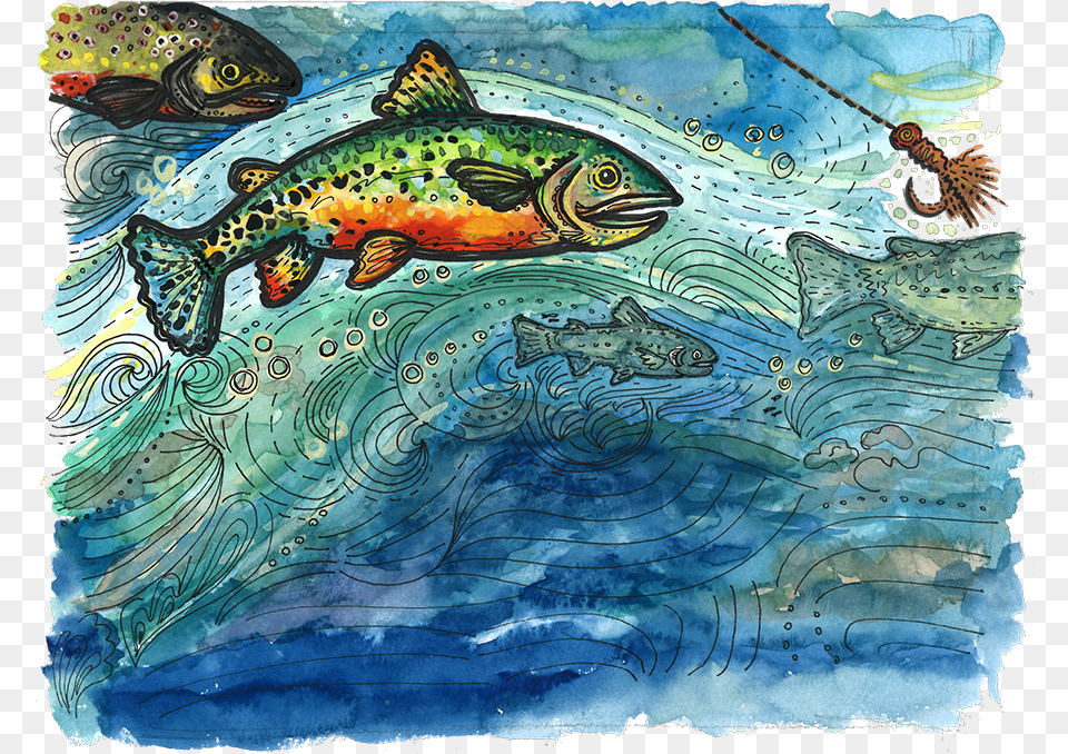 Trout, Animal, Fish, Sea Life, Art Free Transparent Png