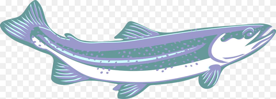 Trout Clip Art Purple Blue White Speckled Curved Trout Clipart, Animal, Sea Life, Fish, Coho Png