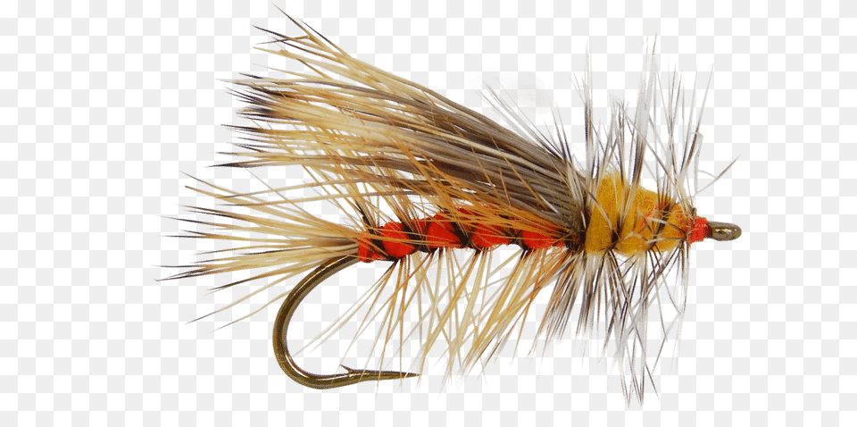 Trout Clipart Dry Fly Fly Fishing Flies Transparent, Animal, Insect, Invertebrate, Fishing Lure Png Image