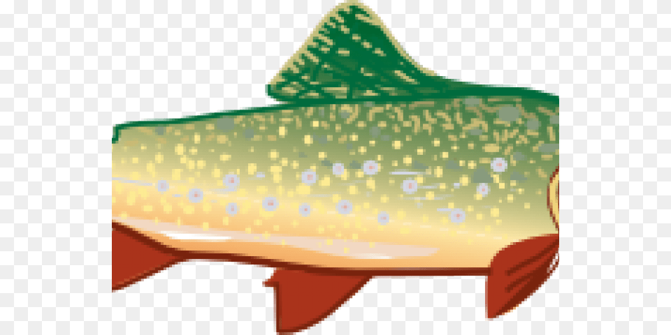 Trout Clipart Shadow, Animal, Fish, Sea Life Free Png