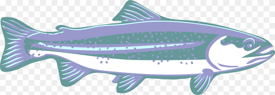 Trout Clipart Speckled Trout Canoe, Animal, Coho, Fish, Sea Life Free Png Download