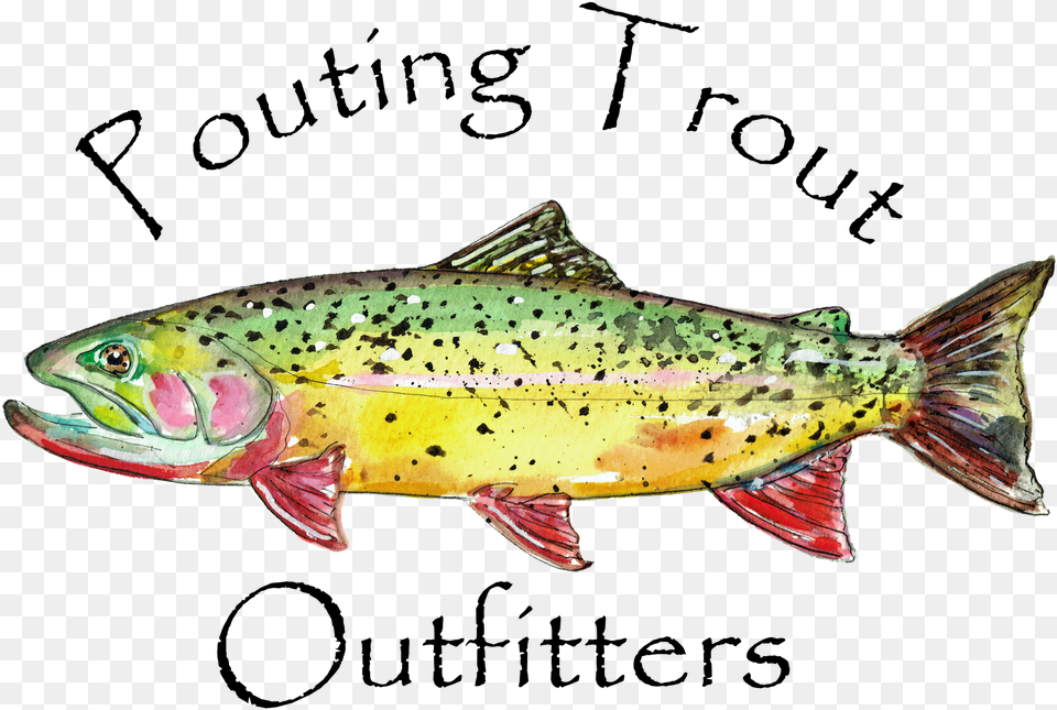 Trout Download Brown Trout, Animal, Fish, Sea Life Png