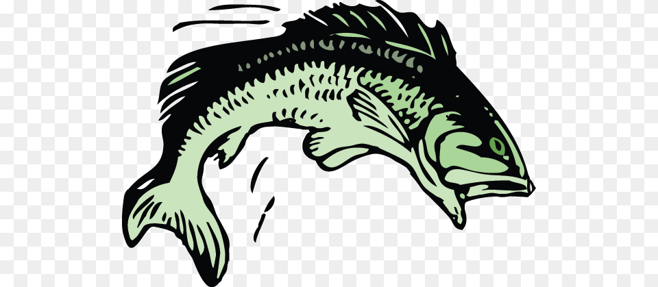 Trout Fish Group 11 Rugby League, Animal, Dinosaur, Reptile, Sea Life Free Png