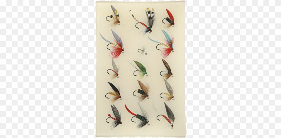 Trout Flies Old Fly Illustration Fishing, Fishing Lure, Electronics, Hardware, Animal Free Transparent Png