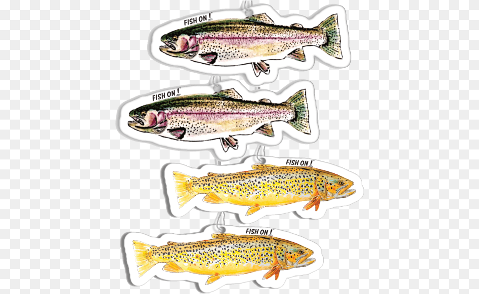 Trout Fresheners Trout, Animal, Fish, Sea Life Free Png Download