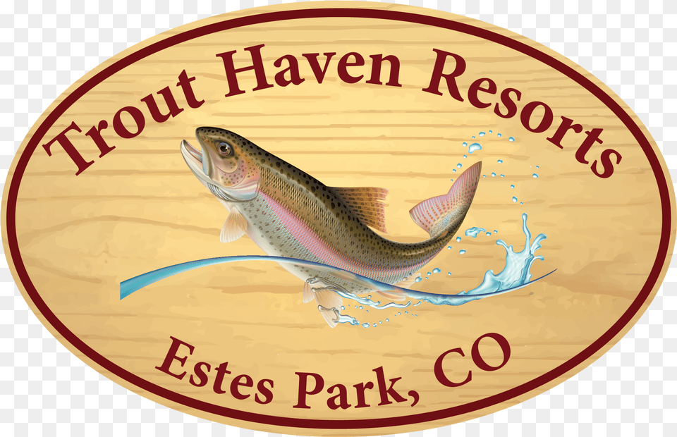 Trout Haven Resorts, Animal, Fish, Sea Life, Disk Free Transparent Png