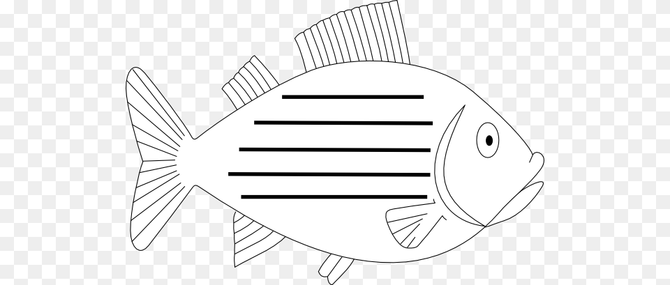 Trout Shape With Lines Clip Art, Animal, Bonito, Fish, Sea Life Free Transparent Png