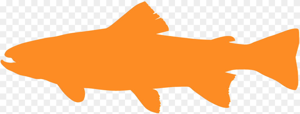 Trout Silhouette, Animal, Sea Life, Fish, Shark Free Transparent Png