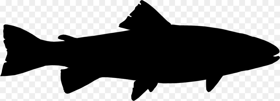 Trout Silhouette, Animal, Fish, Sea Life, Shark Free Transparent Png