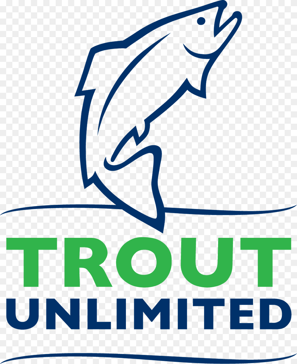 Trout Unlimited, Animal, Sea Life, Dolphin, Mammal Free Png Download