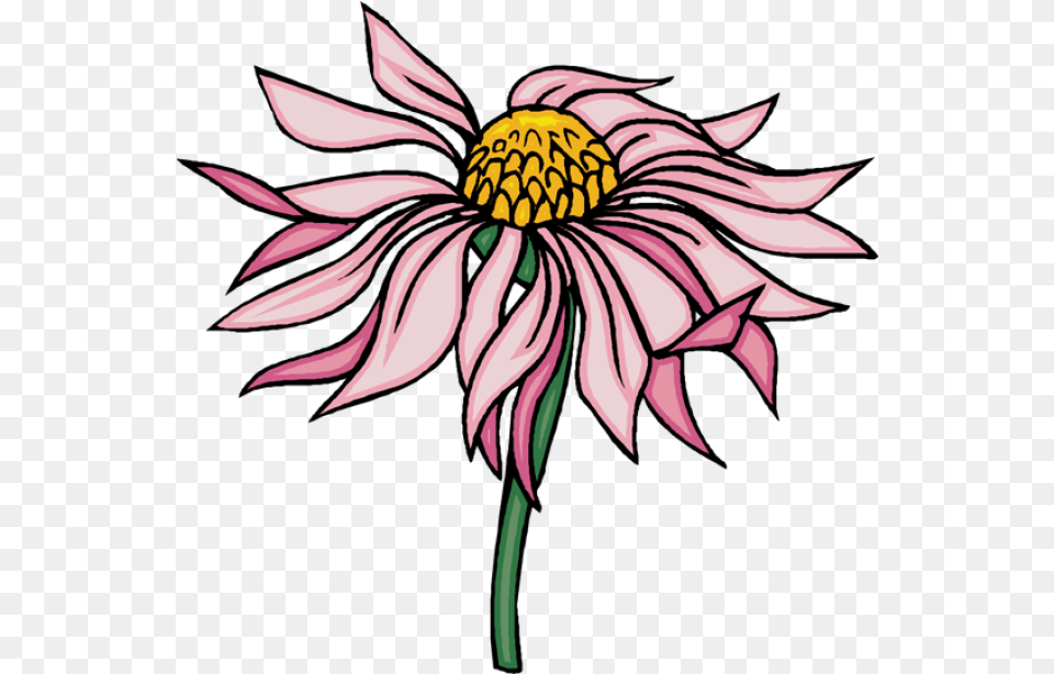 Trudge Clipart Flowers 50 Stunning Cliparts Tcf 4570book Cut Flowers, Dahlia, Daisy, Flower, Plant Free Transparent Png