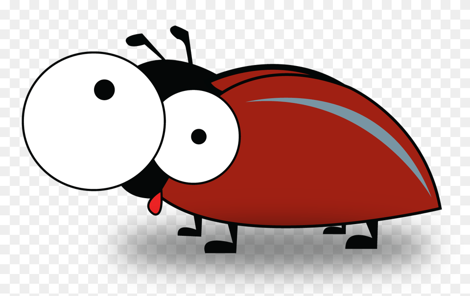True Bug Photos Free Png