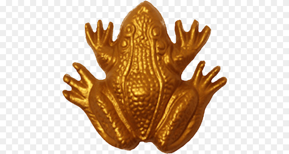 True Frog, Bronze, Person Free Png Download