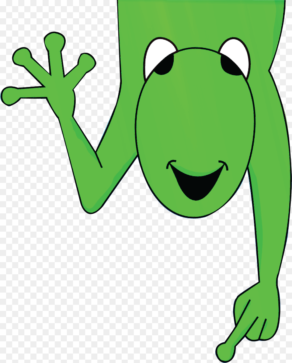 True Frog, Amphibian, Animal, Green, Wildlife Free Png Download