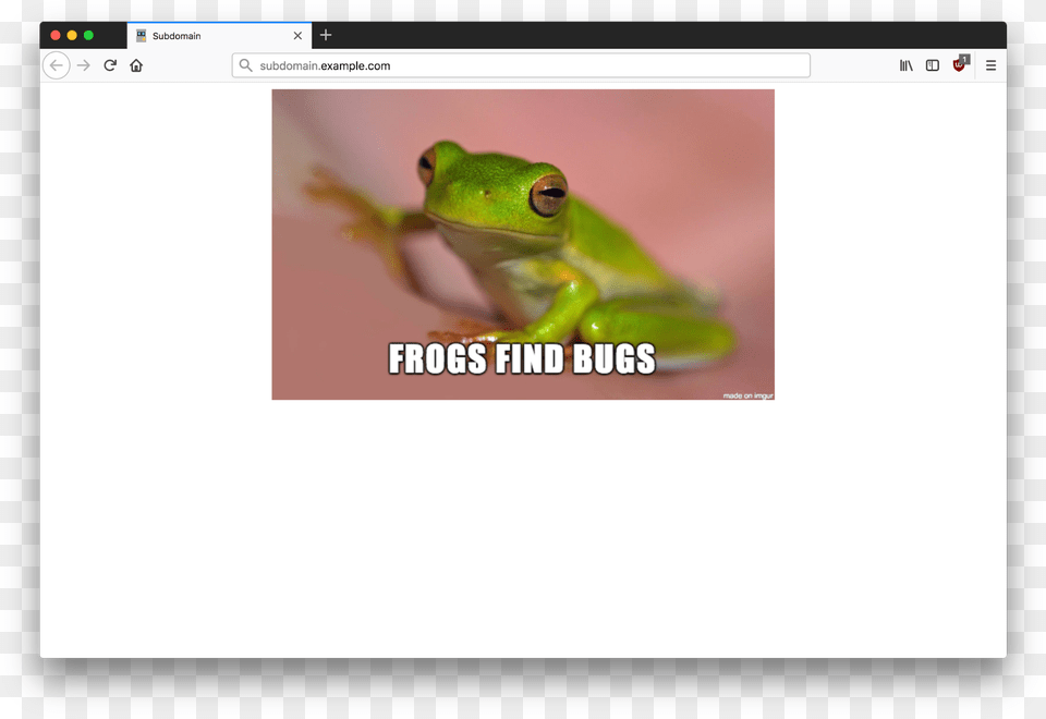 True Frog, Amphibian, Animal, Wildlife, Tree Frog Free Png