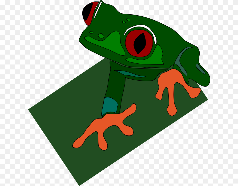 True Frog The Tree Frog Lithobates Clamitans Red Eyed Tree Frog, Amphibian, Animal, Wildlife, Tree Frog Png Image